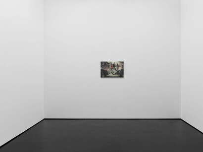 Jannis Marwitz, The directionality of fur, exhibition view. Courtesy of Trautwein Herleth Gallery