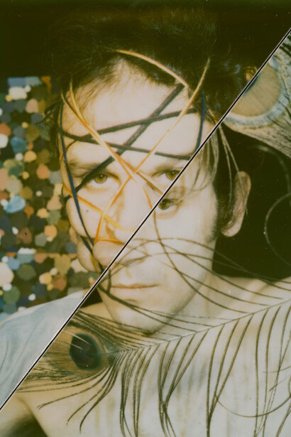 Lucas Samaras, Split (detail), 1973. Courtesy of Art Institute of Chicago