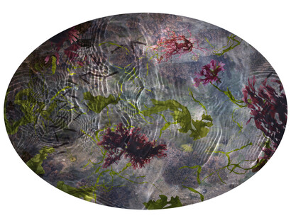 Susan Derges, Tide Pool 33, Unique C type print, 53.1 x 76.2 cm, 20.9 x 30 inches