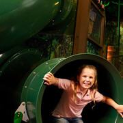 Enchanted rainforest, exhibition view. Courtesy of Queensland Museum Tropics
