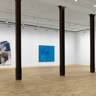 Emma McIntyre, This body holds, swamp stuff, exhibition view. Courtesy of David Zwirner Gallery