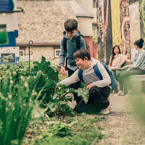 Discovery park, exhibition view. Courtesy of Ingenium. The Canada Agriculture and Food Museum