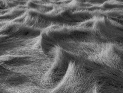 Fragile Waters. Courtesy of San Jose Museum of Art