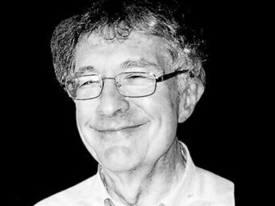 Howard Earl Gardner est un psychologue du développement américain. Il a été membre fondateur du Projet Zéro de Harvard en 1967 et a occupé des postes de direction au sein de ce centre de recherche