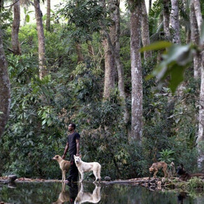 Laura Henno. Courtesy of Galerie Les Filles du Calvaire