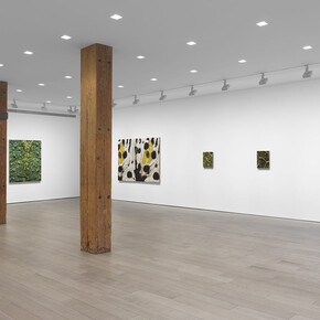 Douglas Melini, Under your skin and over the moon, exhibition view. Courtesy of Miles McEnery Gallery