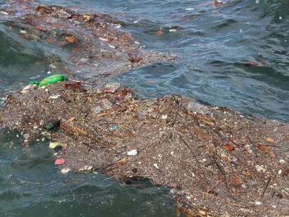 Plastic pollution in oceans and the presence of microplastics in nature are growing environmental concerns with far-reaching effects on wildlife and human health