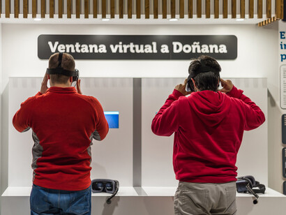 Virtual Window To Doñana. Courtesy of Casa de la Ciencia