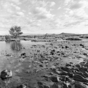 Lee Friedlander, Idaho, 1993. Courtesy of Fraenkel Gallery
