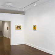 Alan Prazniak, Potions, exhibition view. Courtesy of Geary Gallery