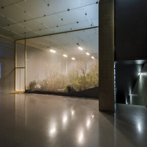 Precious Okoyomon, One either loves oneself or knows oneself, exhibition view. Courtesy of Kunsthaus Bregenz