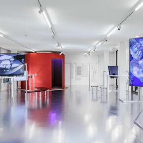 Various artists, Civa. Contemporary immersive virtual art, exhibition view. Courtesy of Lower Belvedere