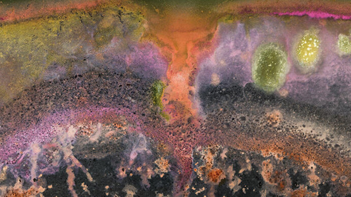 Microbial Life: A Universe at the Edge of Sight. Courtesy of Harvard Museum of Natural History