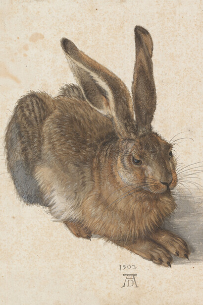 Albrecht Dürer. Courtesy of Albertina
