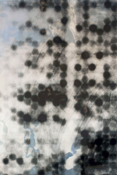 Carrie Yamaoka. Courtesy of Henry Art Gallery