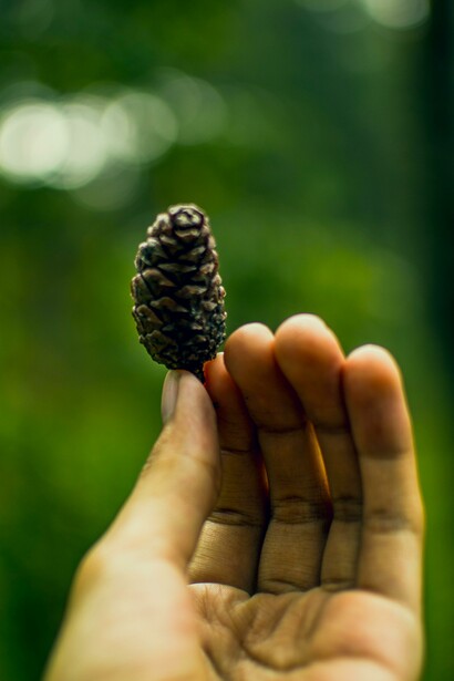 La crisis ecológica es la más importante del siglo XXI