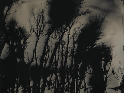 Blackwater 20, 2008–12, Sally Mann, tintype. Collection of the artist. © Sally Mann