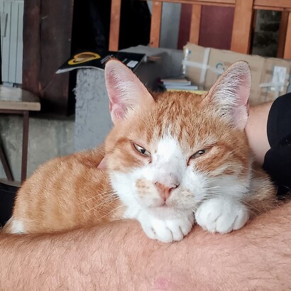 Accogliere la vita è un atto di coraggio e saggezza: non si tratta di arrendersi, ma di trovare pace nel movimento continuo del cambiamento