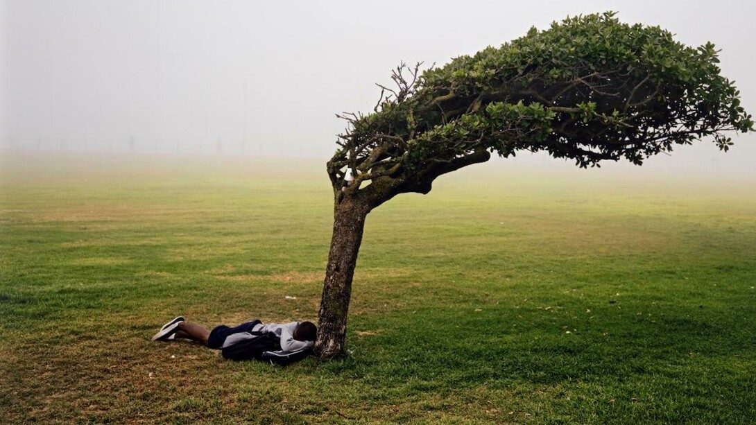 NGV Festival of Photography. Courtesy of NGV