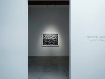Christiane Feser, Exhibition view. Courtesy of Von Lintel Gallery