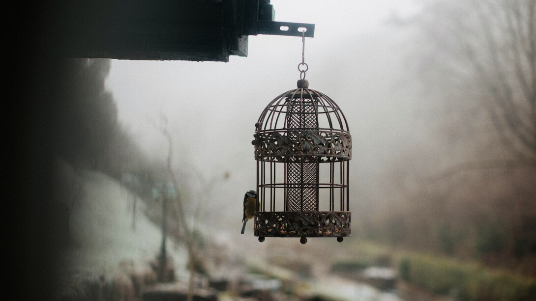 Cuando el Hombre se torna activo espiritualmente, comienza a modelar para sí la sombra de la eternidad