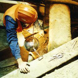 Beneath the City. Courtesy of New York State Museum 