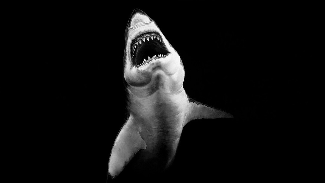 Robert Longo: Untitled (phantom vessel), 2008. Courtesy of Albertina Museum