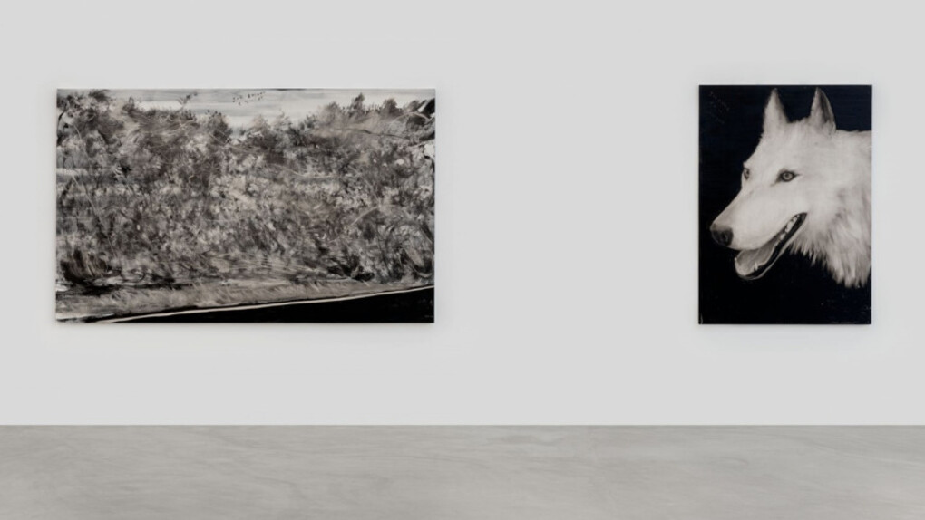 Joe Andoe. Courtesy of Almine Rech Gallery