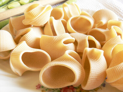 Conchiglioni bio di grano Saragolla