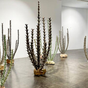 Chiqui García, Naturaleza interna, vista de exhibición. Cortesía de Galería Ponce+Robles