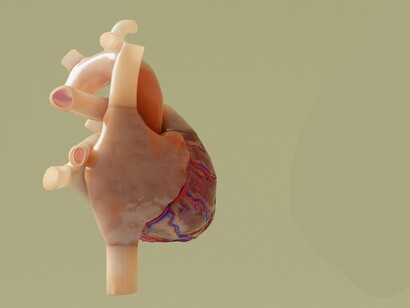 L’obesità viscerale è un noto fattore di rischio cardiovascolare, poiché associata a infiammazione cronica e insulino-resistenza