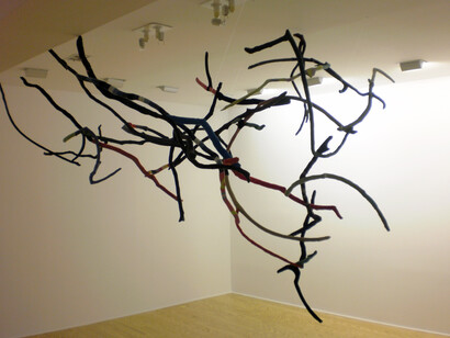 Leda Papaconstantinou, Branches