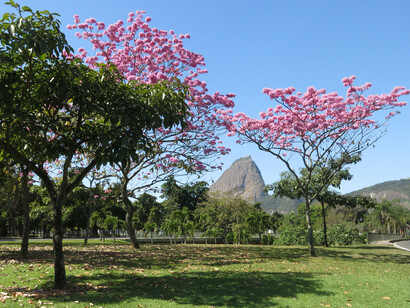 O envolvimento de Lota de Macedo Soares no projeto do Parque do Flamengo foi um divisor de águas em sua vida pessoal e profissional, refletindo sua paixão pela arquitetura e urbanismo