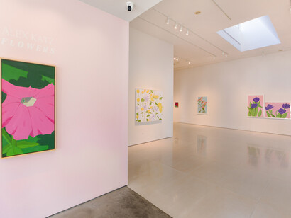 Alex Katz: Flowers at McClain Gallery, installation view, photo by Allyson Hunstman. Courtesy of McClain Gallery, Houston, Texas
