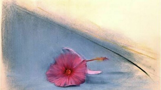 Piero Guccione, L'ombra e l'ibisco su Fondo Grigio, Pastel, 1994