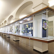 Golden age of Zsolnay. Gyugyi collection, exhibition view. Courtesy of Zsolnay Cultural Quarter