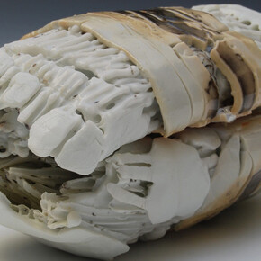 Raw Design. Courtesy of  Museum of Craft and Design 
