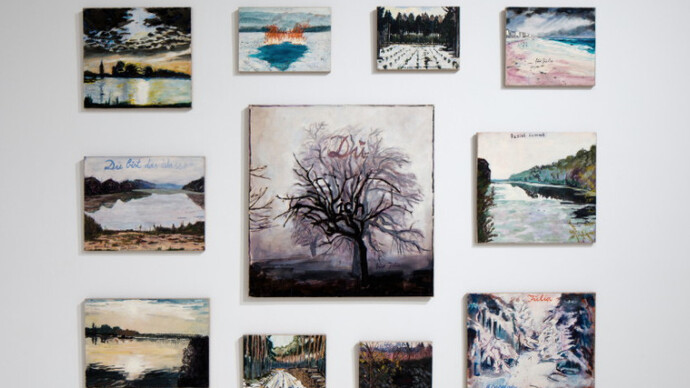 Regeneration Series, Exhibition view. Courtesy of NSU Art Museum