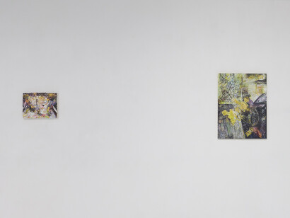 Sharon Xinran Zhang, Enabler and vanilla conjuring (纵容者和寻常戏法), exhibition view. Courtesy of Lubov