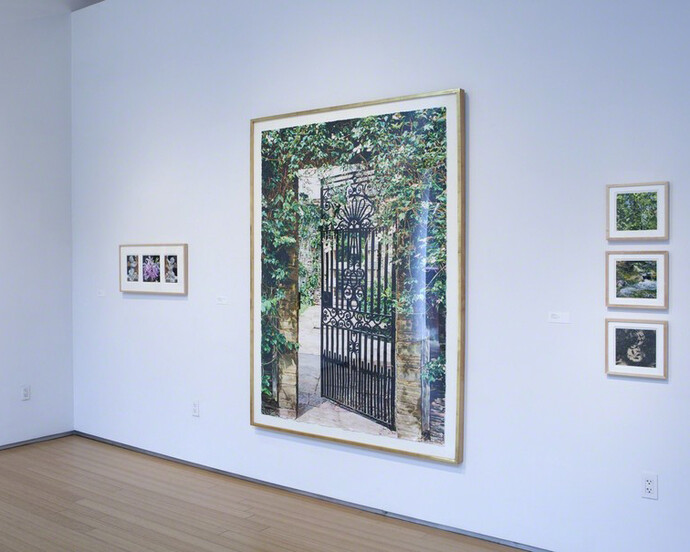 Summer Gardens, Exhibition view. Courtesy of Nancy Hoffman