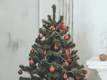 El árbol de Navidad es una parte esencial de las celebraciones en todo el mundo, independientemente de la fe religiosa