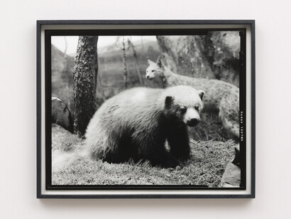 Gerard Byrne
Sixteenth beast 2018
Analogue silver gelatin print, edition of 4 + 1AP
48.5 x 59.5 cm / 19.1 x 23.4 in framed