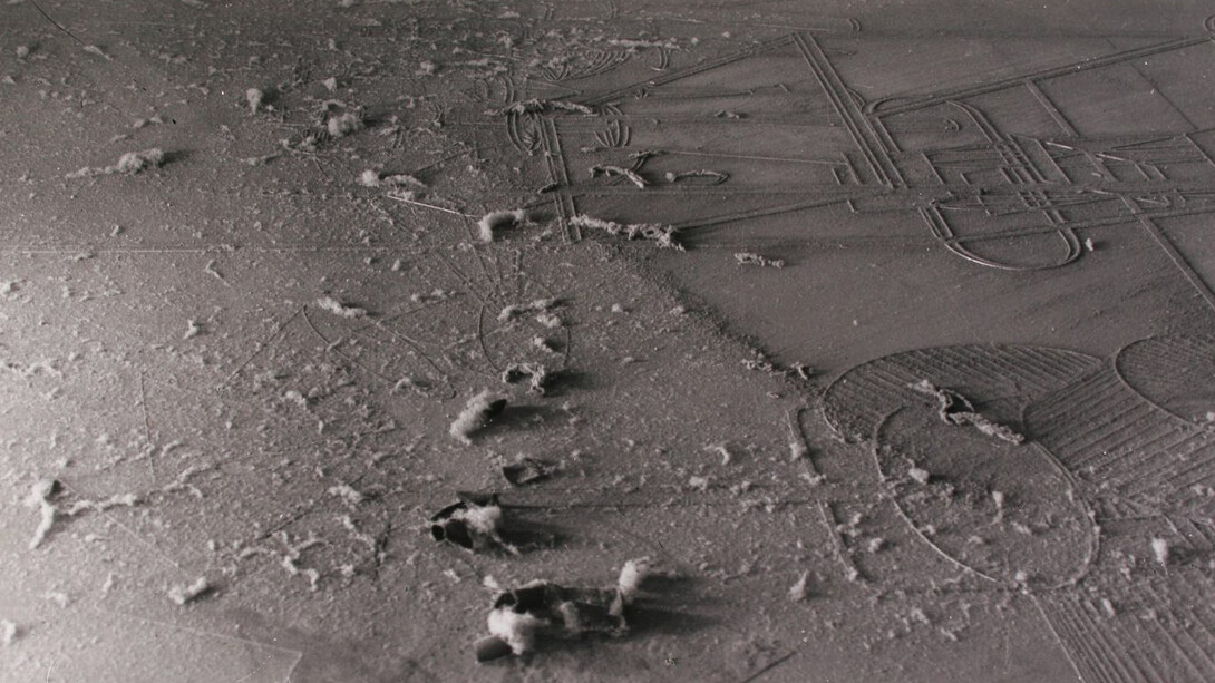 Look Again. Courtesy of High Museum of Art