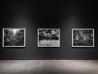 Dawoud Bey, Stony the road, exhibition view. Courtesy of Sean Kelly