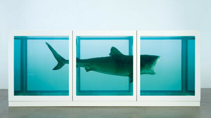 La imposibilidad física de la muerte en la mente de alguien vivo, Damien Hirst, 1991