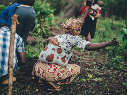 Il continente nero riesce a produrre 3 raccolti all'anno 