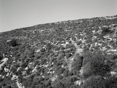 Jeff Wall, Hillside, Sicily, November 2007 © Jeff Wall, Courtesy White Cube