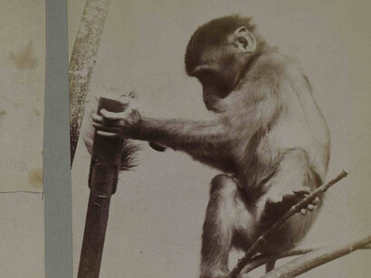 Before and After. Courtesy of Museum für Fotografie