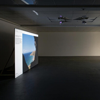 Stefan Karrer, oO., 2020, Ausstellungsansicht Kunsthaus Baselland 2020. Foto: Gina Folly