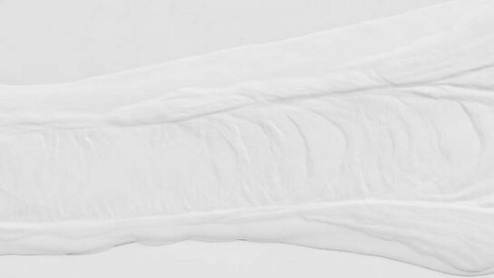 Anthony Pearson, Detail: Untitled (Plaster Positive), 2013, Hydrocal in lacquer finished maple frame, 30.75 x 60.5 x 3 inches, 78.1 x 153.7 x 7.6 cm